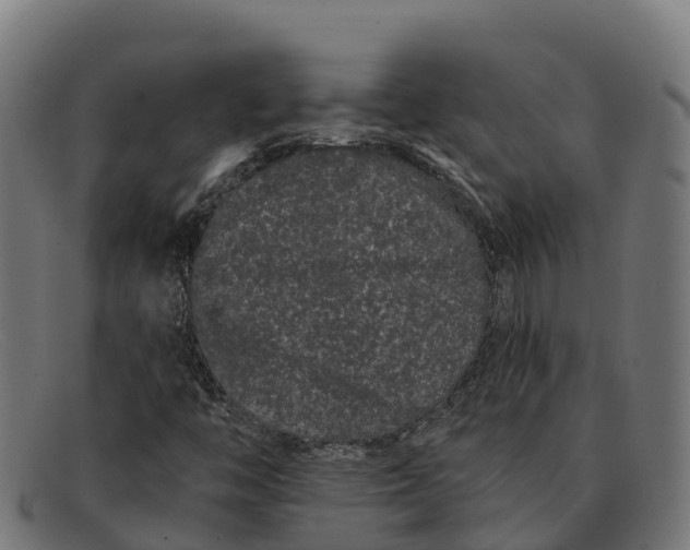 X0000091671446200709131519