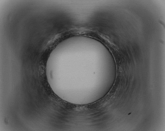 X0000091671447200709131519