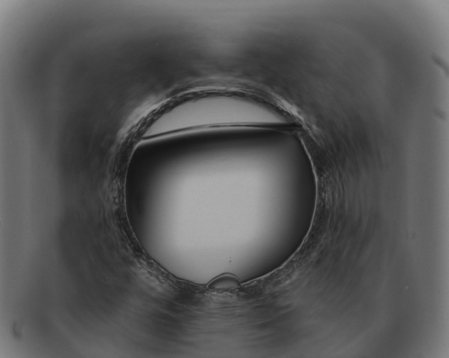 X0000091671448200709131519