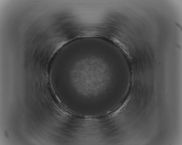 X0000091671449200709131519