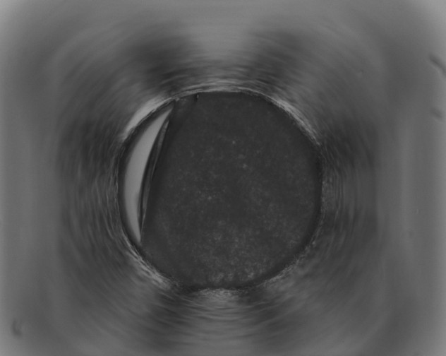X0000091671450200709131519