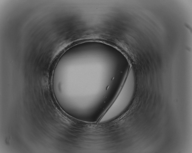 X0000091671452200709131519