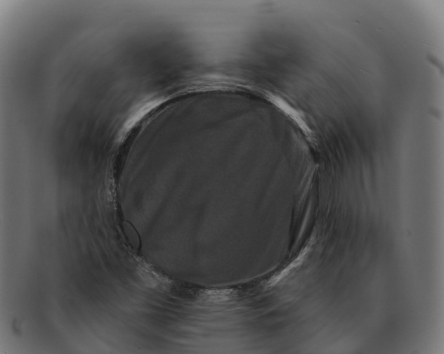 X0000091671453200709131519