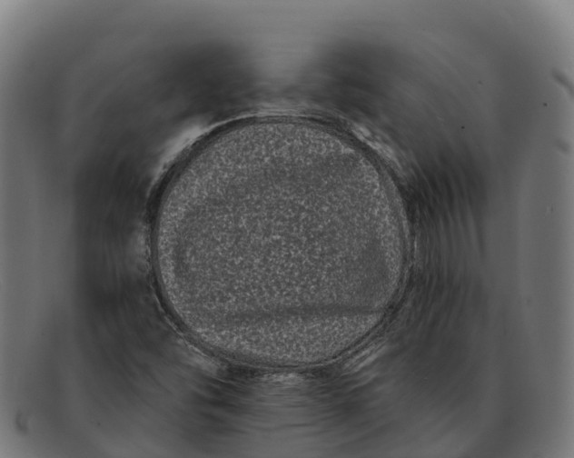 X0000091671454200709131519