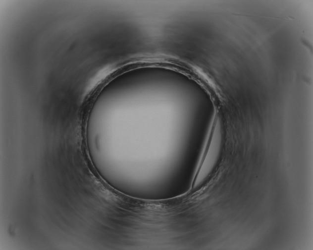 X0000091671456200709131519
