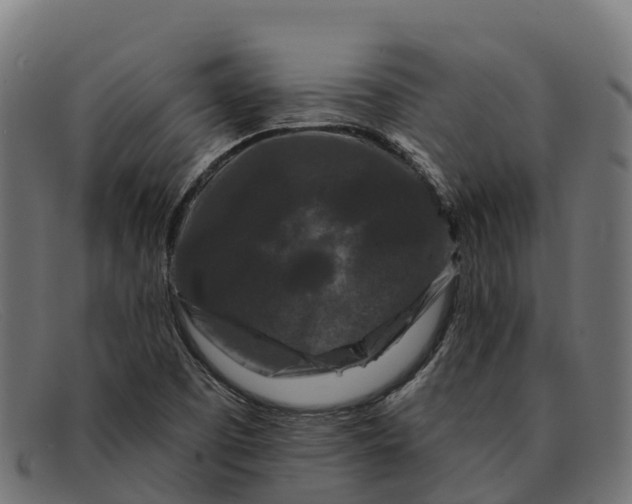 X0000091671457200709131519