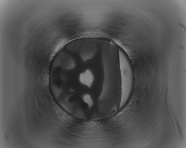X0000091671459200709131519