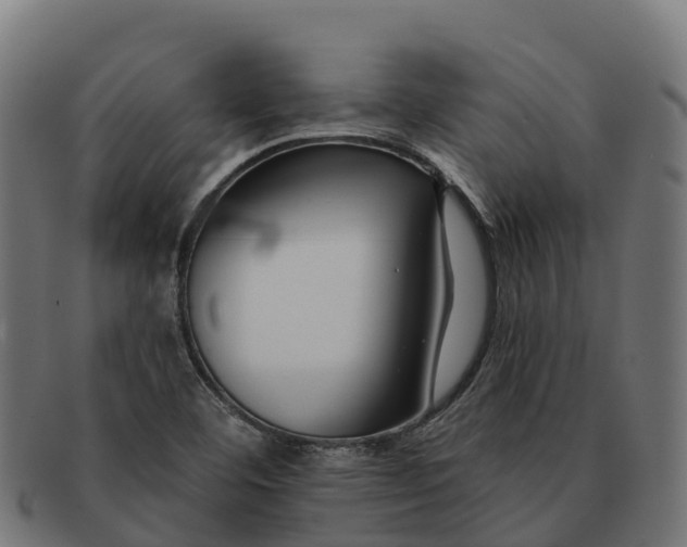 X0000091671460200709131519