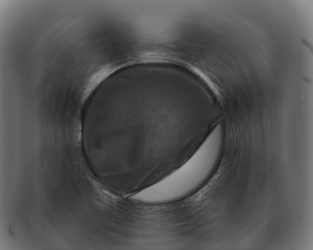 X0000091671461200709131519