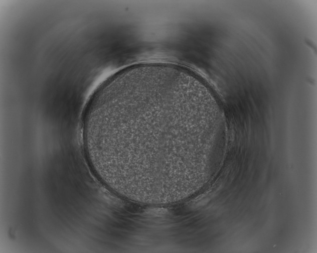 X0000091671462200709131519
