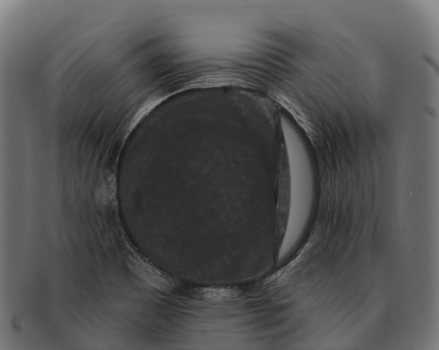X0000091671465200709131519
