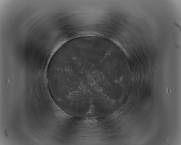 X0000091671466200709131519