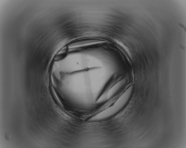 X0000091671467200709131519