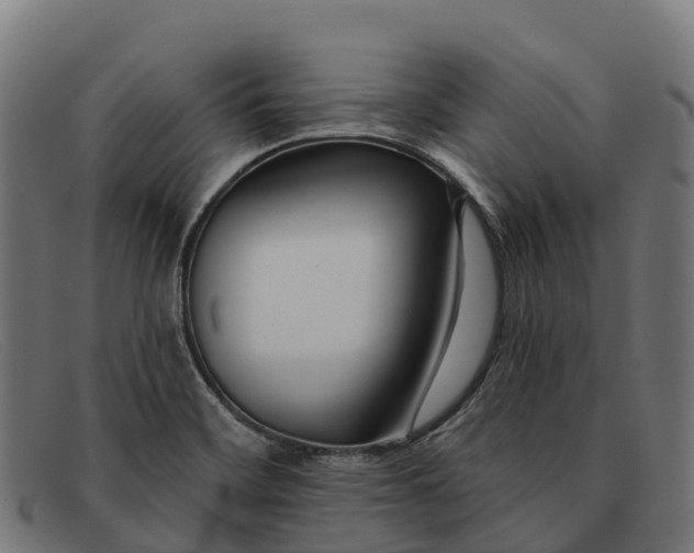 X0000091671468200709131519