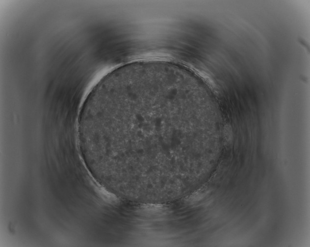 X0000091671470200709131519