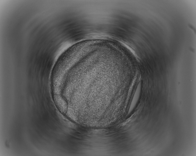 X0000091671471200709131519