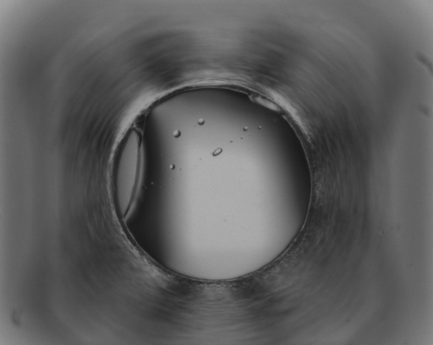 X0000091671472200709131519