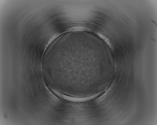 X0000091671473200709131519