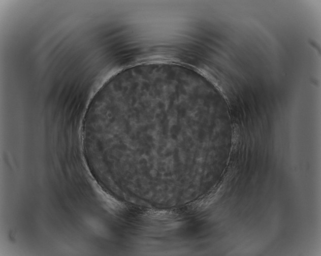 X0000091671474200709131519