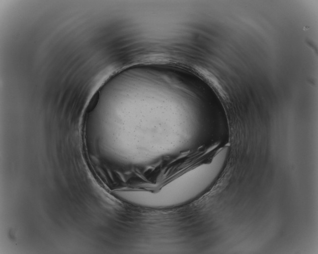 X0000091671475200709131519