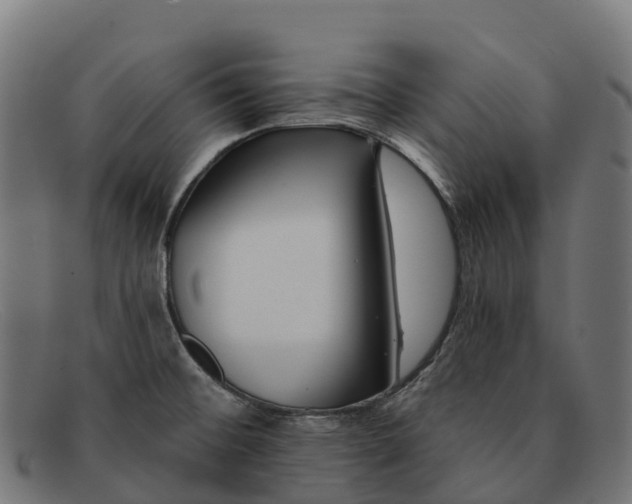 X0000091671476200709131519