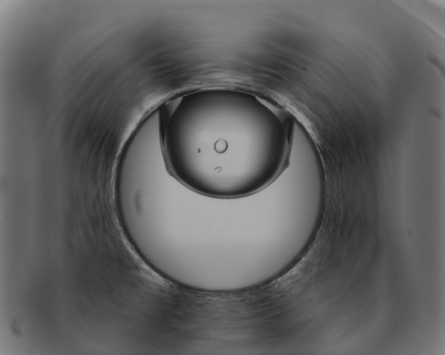 X0000091671477200709131519