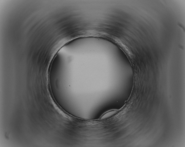 X0000091671479200709131519