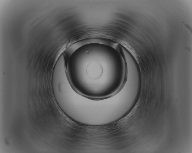 X0000091671481200709131519