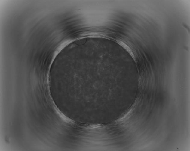 X0000091671482200709131519