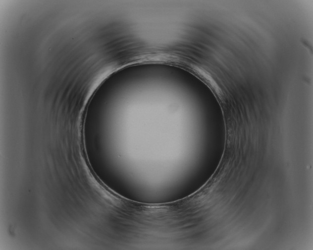 X0000091671483200709131519