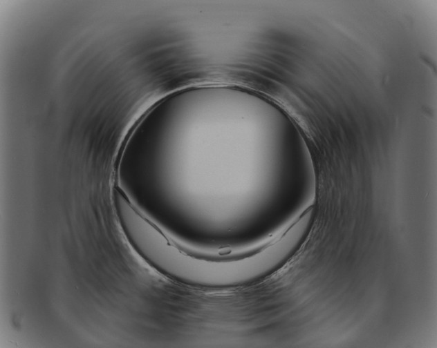 X0000091671484200709131519