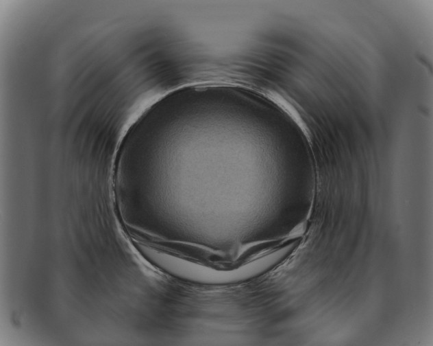 X0000091671485200709131519
