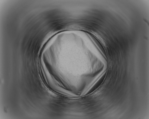 X0000091671486200709131519