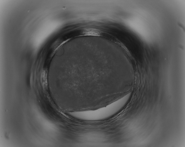 X0000091671487200709131519