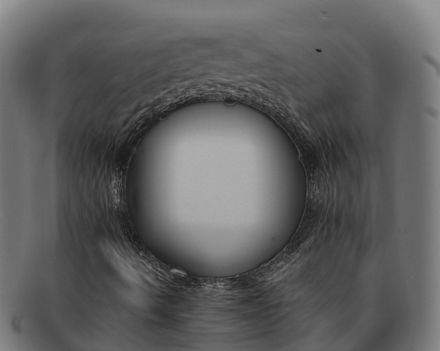 X0000091671490200709131518