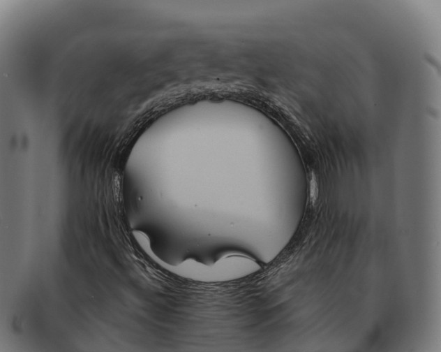 X0000091671492200709131518