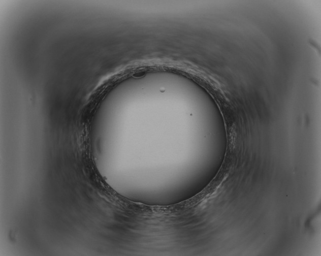 X0000091671494200709131518