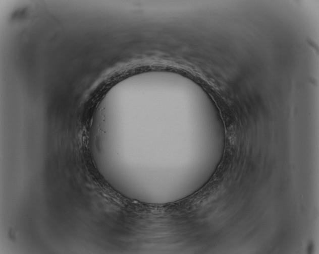 X0000091671495200709131518