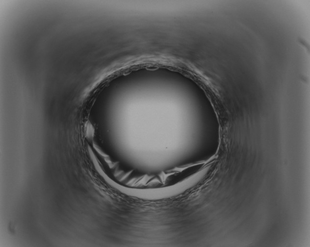 X0000091671496200709131518