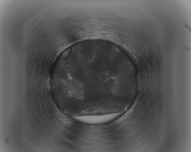 X0000091671497200709131518