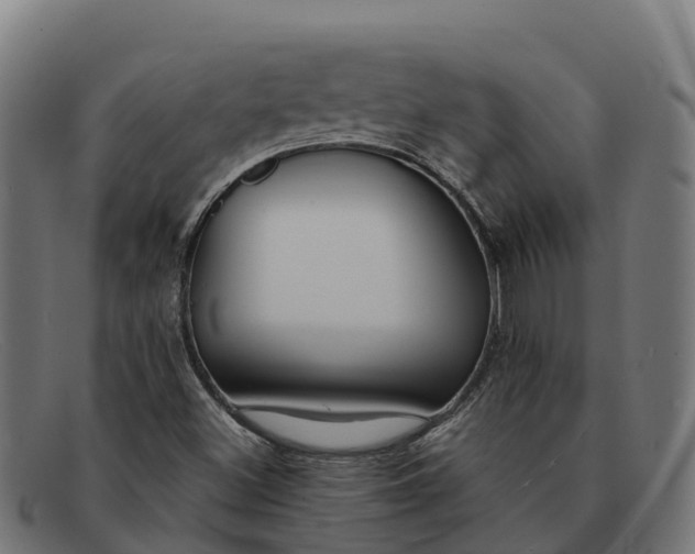 X0000091671500200709131518
