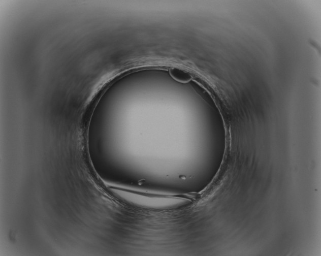 X0000091671501200709131518