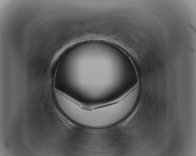 X0000091671502200709131518