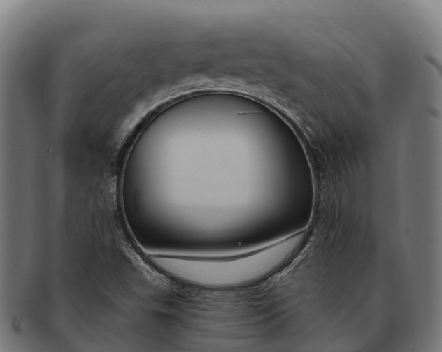 X0000091671503200709131519