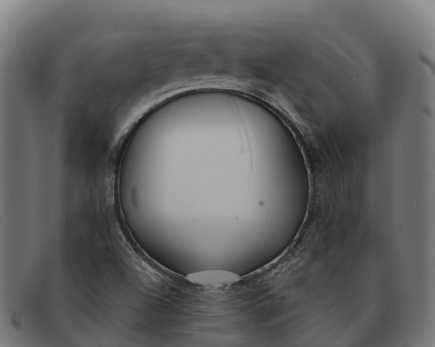 X0000091671504200709131519