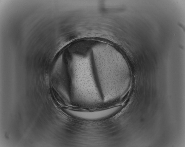 X0000091671505200709131519