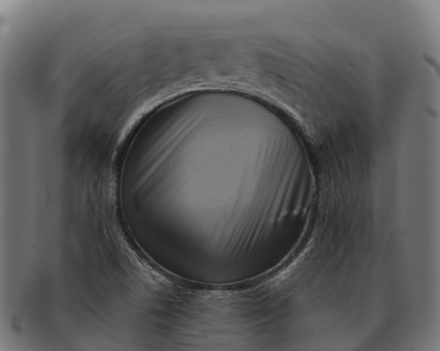 X0000091671506200709131519