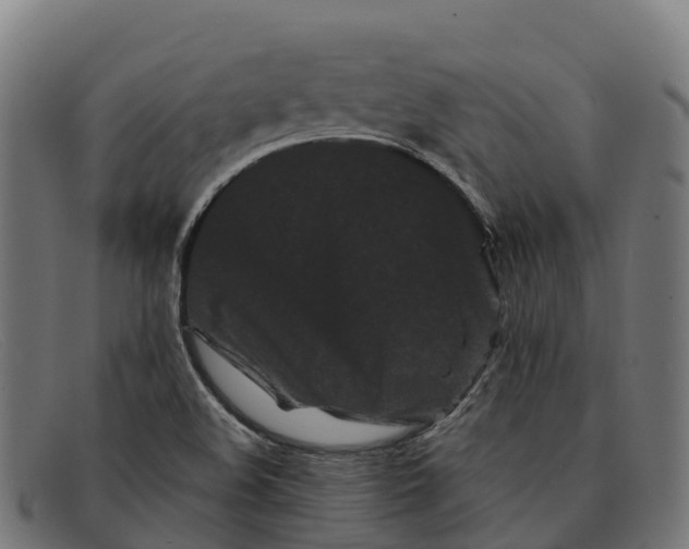 X0000091671508200709131519