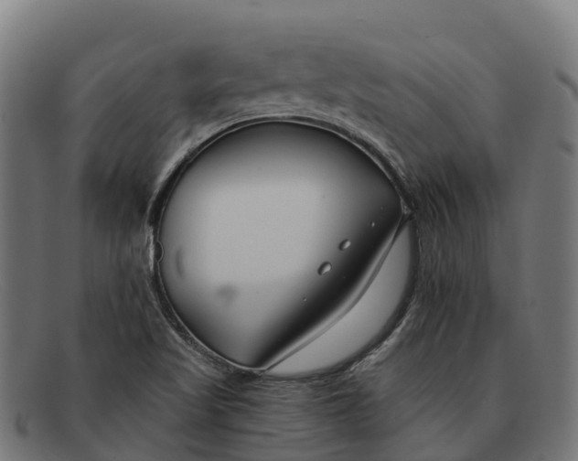 X0000091671509200709131519