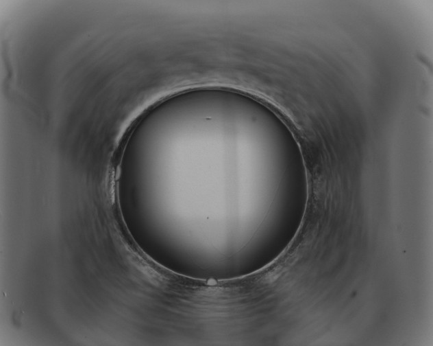 X0000091671510200709131519
